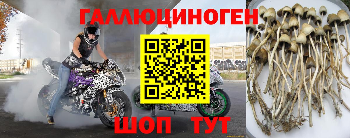 Галлюциногенные грибы мицелий Чита