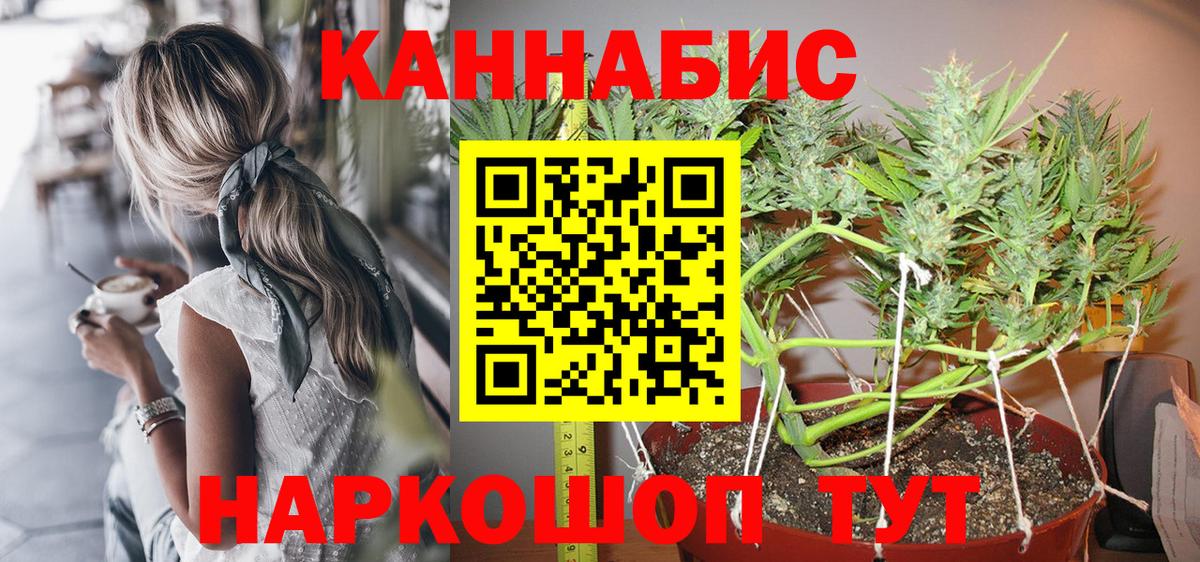 Чита  Канабис Amnesia  Канабис OG Kush  Конопля OG Kush  Канабис сатива  Вход с VPN 